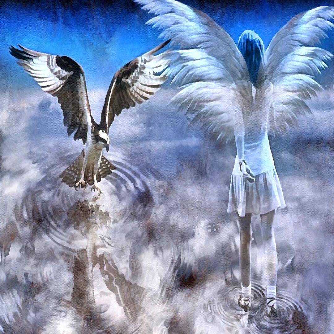 Angel No.1